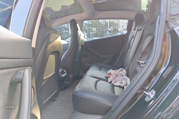 Tesla Model 3 2021 #19 Tesla Model 3 2021 car image #19