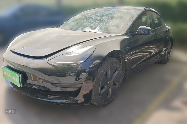 Tesla Model 3 2021 #2 Tesla Model 3 2021 car image #2