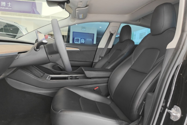 Tesla Model 3 2021 car image #15