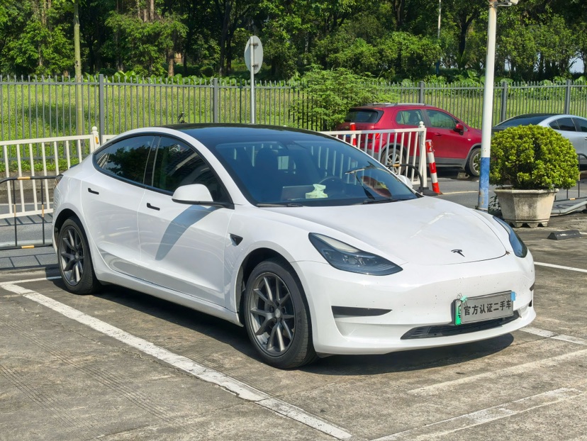 Tesla Model 3 2021 car image #3