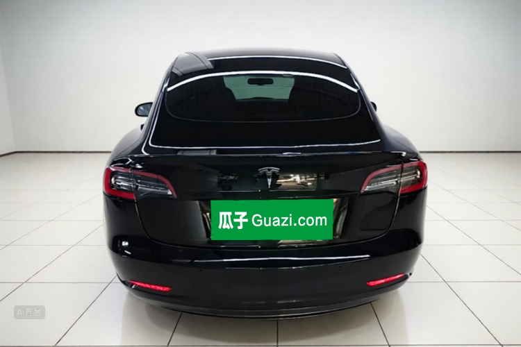 Tesla Model 3 2020 immagine di auto #6