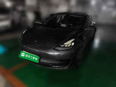 Tesla Model 3 2020 Tesla Model 3 2020 car image