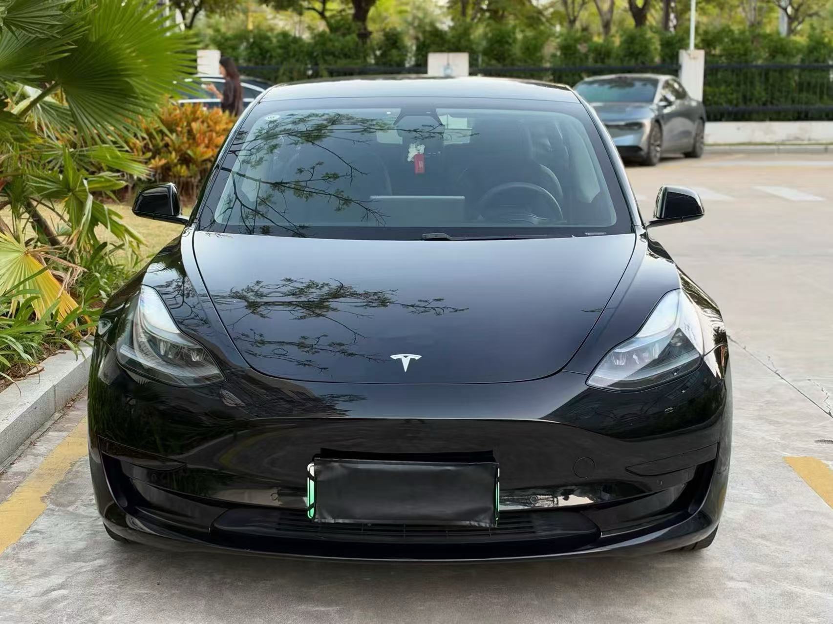 Tesla Model 3 2021 imagen de coche #2