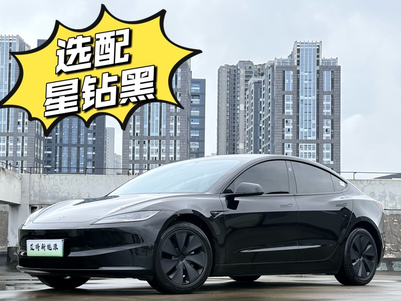 Tesla Model 3 2025 Tesla Model 3 2025 car image