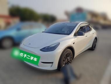 Tesla Model Y 2021 car image 