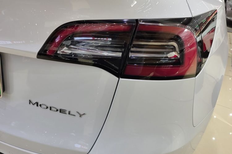 Tesla Model Y 2022 car image #8