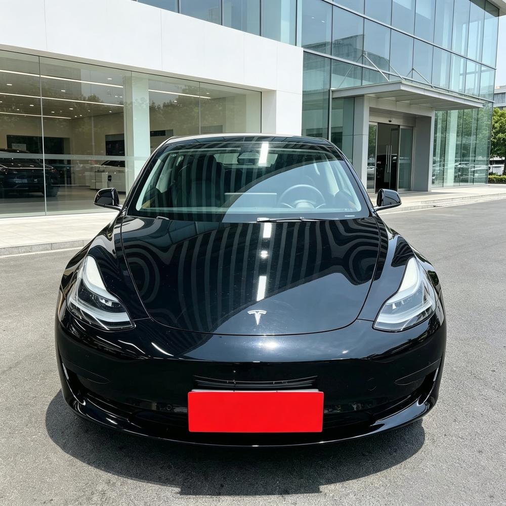 Tesla Model 3 2023 immagine di auto #2