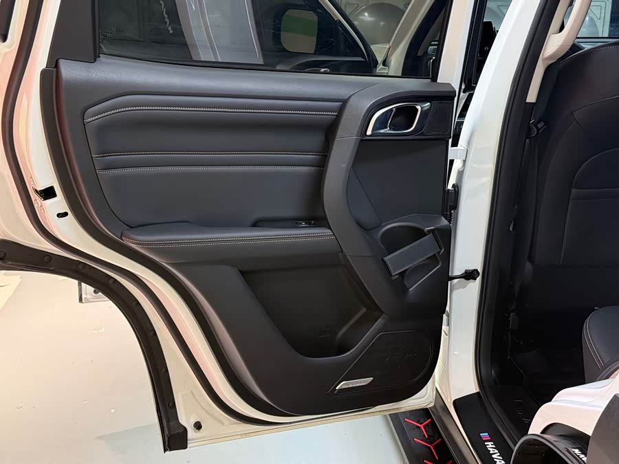 Haval X Dog / Dargo 2024 immagine di auto #48