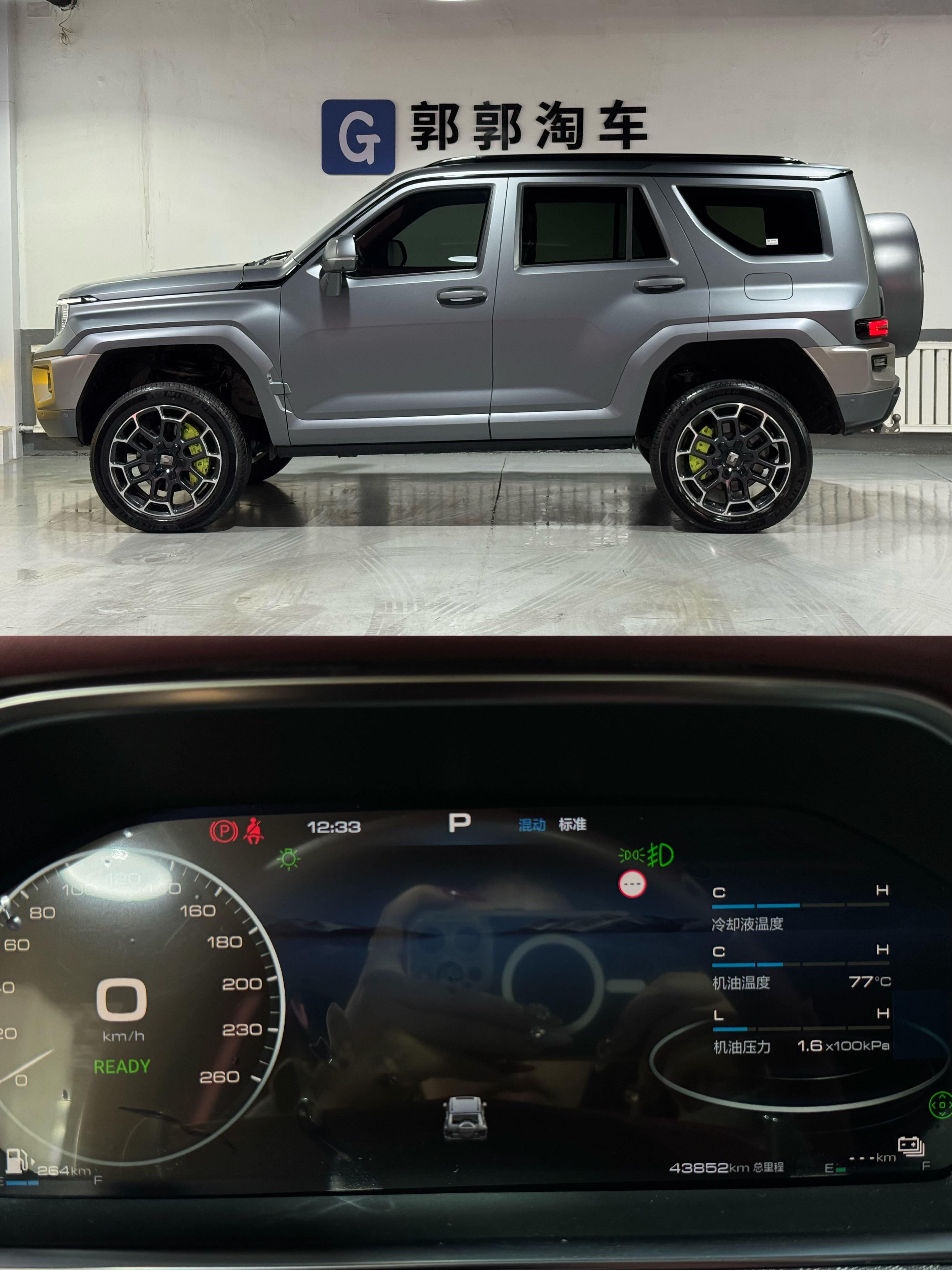 Tank 700 New Energy 2024 immagine di auto #48