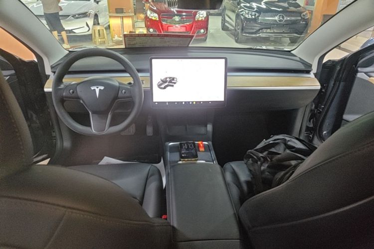 Tesla Model 3 2021 car image #10