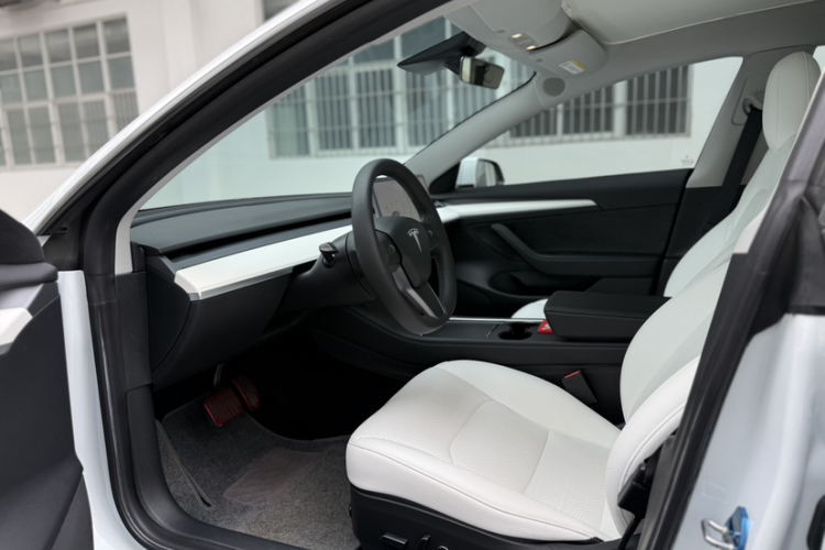 Tesla Model 3 2021 #17 Tesla Model 3 2021 car image #17