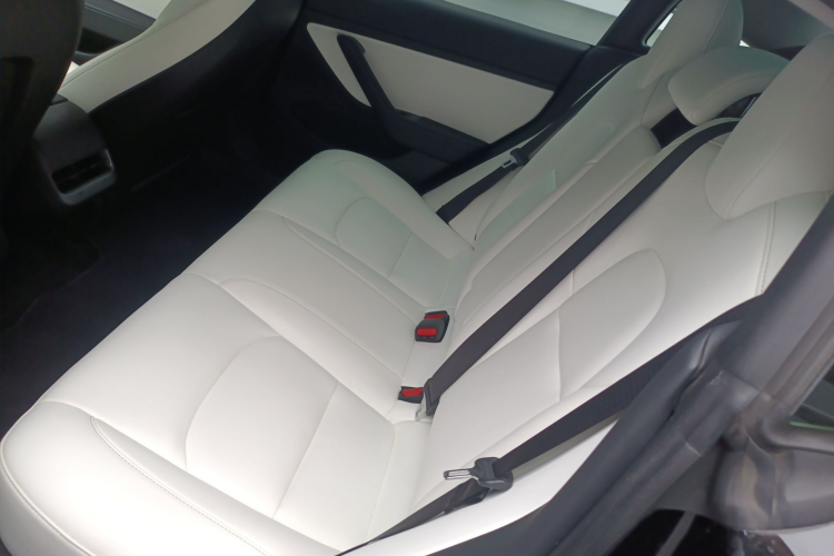 Tesla Model 3 2020 car image #13