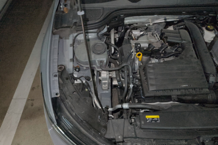 Volkswagen Golf 2021 immagine di auto #24