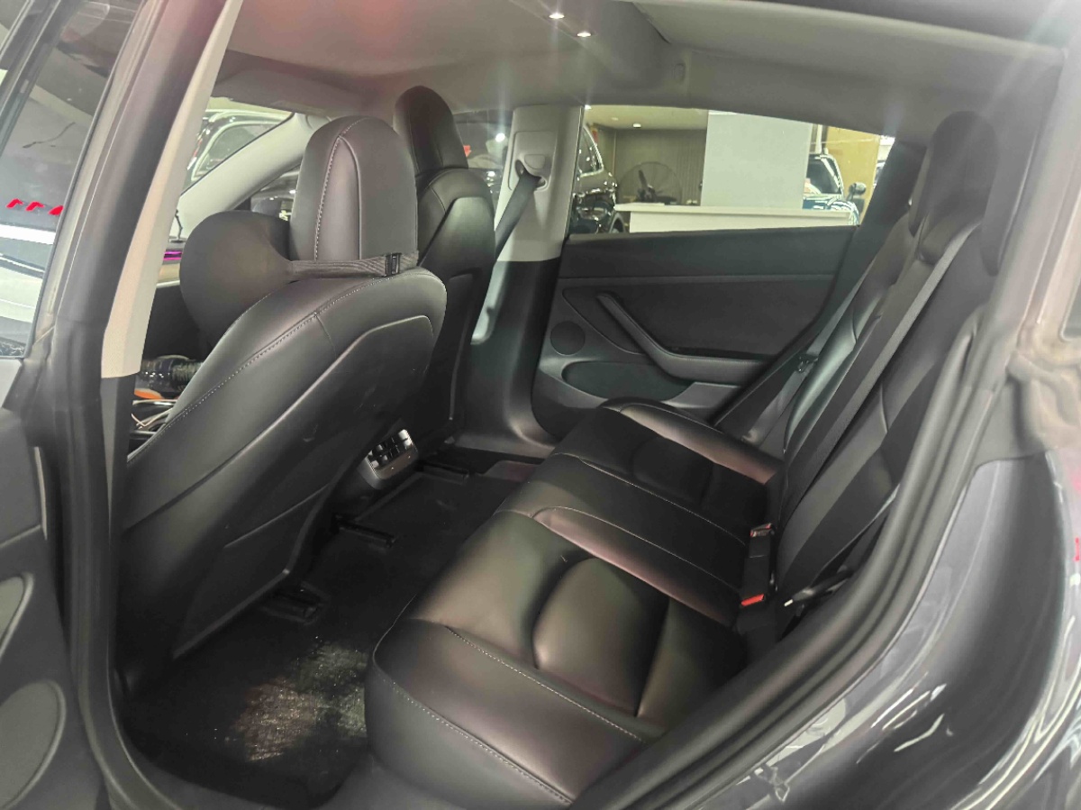 Tesla Model 3 2022 car image #3