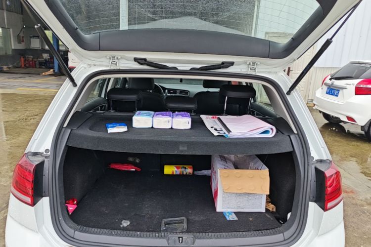 Volkswagen Golf 2019 car image #19