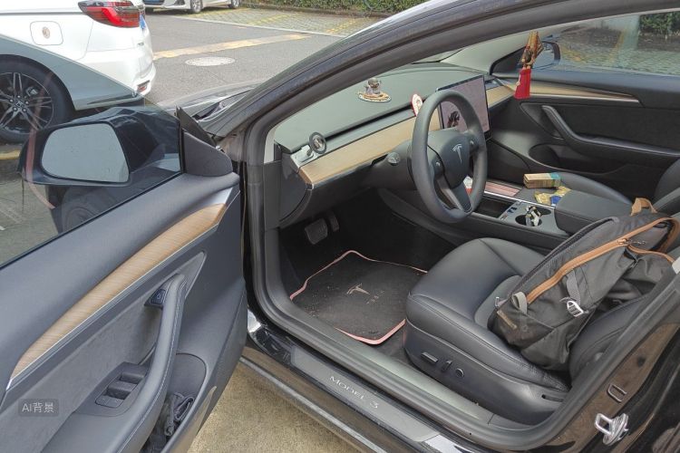 Tesla Model 3 2021 #18 Tesla Model 3 2021 car image #18