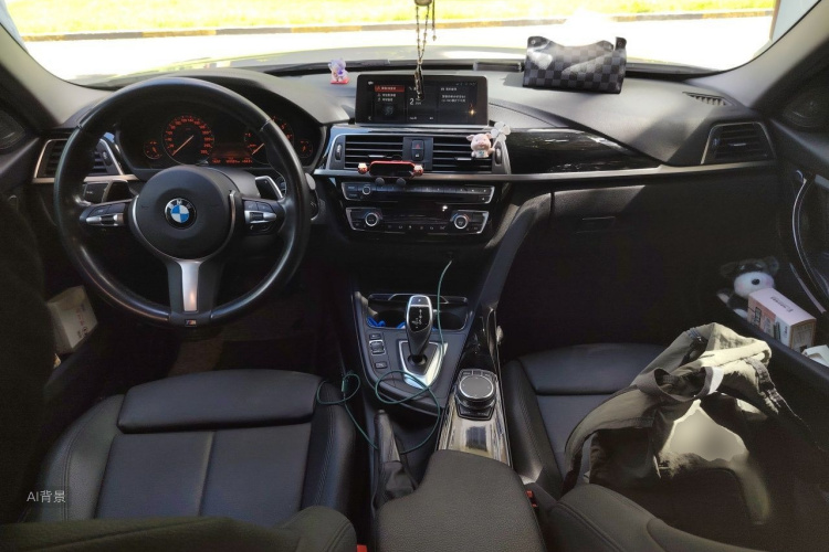 BMW 3 Series 2018 car image #11