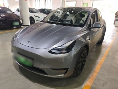 Tesla Model Y 2024 Tesla Model Y 2024 car image