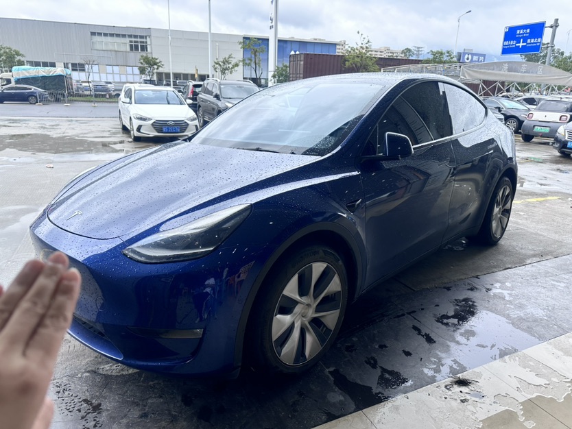 Tesla Model Y 2021 Tesla Model Y 2021 car image