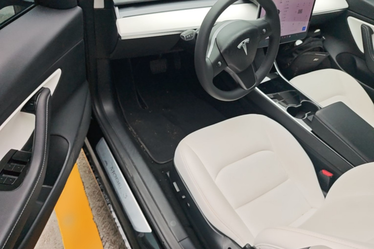 Tesla Model 3 2020 car image #16