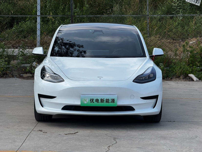 Tesla Model 3 2022 #3 Tesla Model 3 2022 car image #3