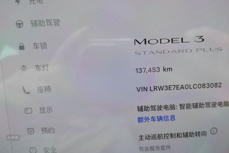 Tesla Model 3 2020 imagem de carro #14