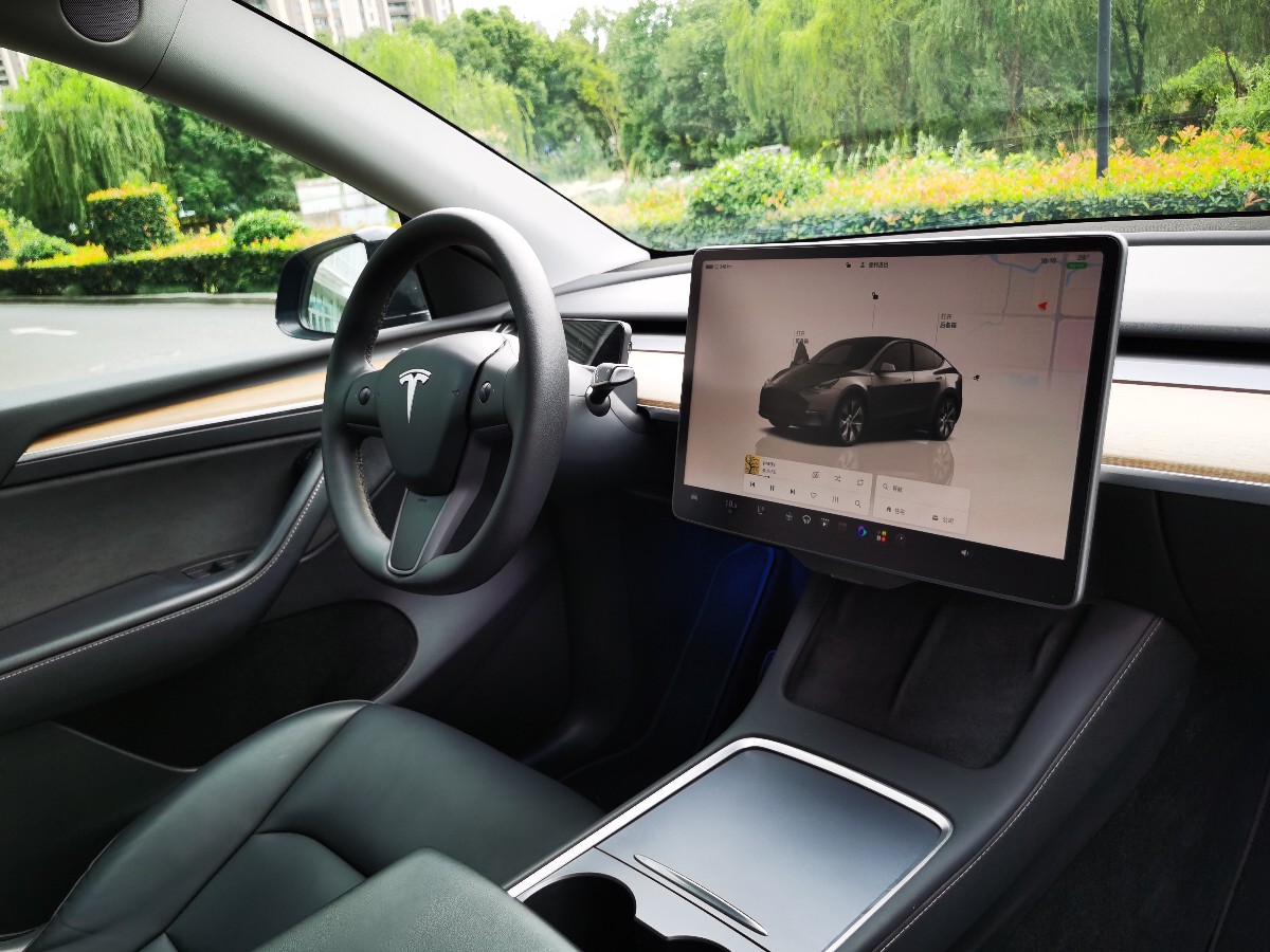 Tesla Model Y 2023 #11 Tesla Model Y 2023 car image #11