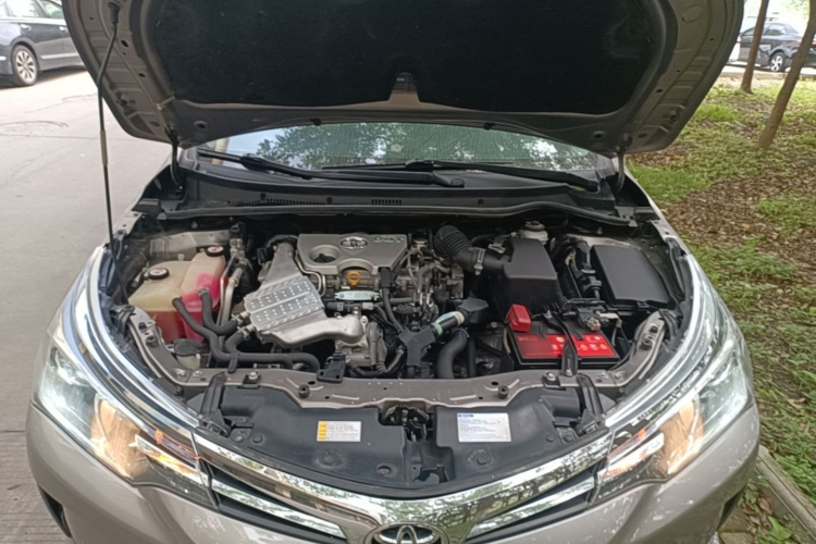 Toyota Corolla 2019 #20 Toyota Corolla 2019 car image #20