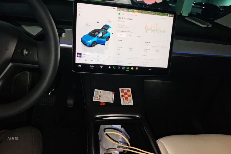 Tesla Model Y 2022 car image #15
