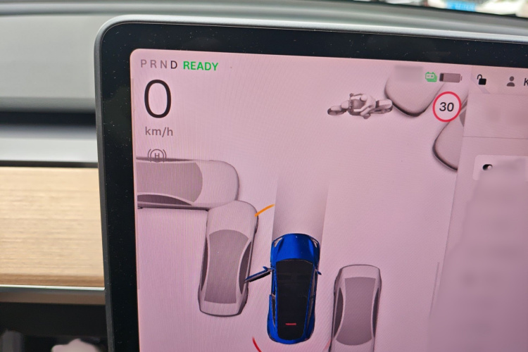 Tesla Model Y 2021 #16 Tesla Model Y 2021 car image #16