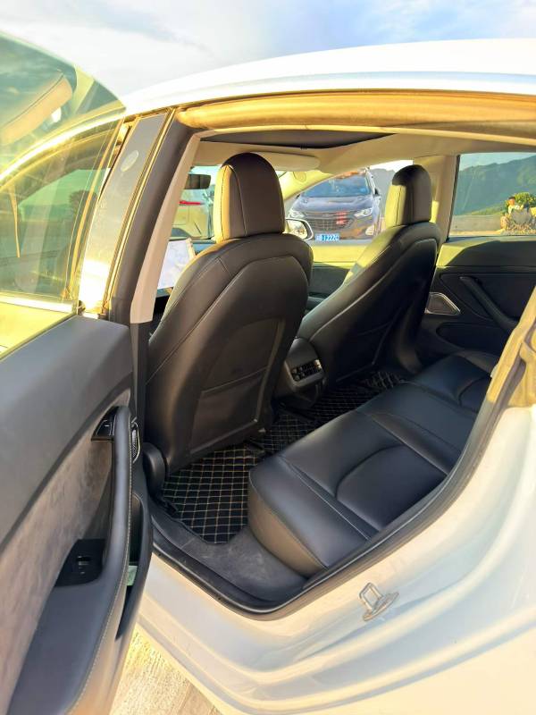 Tesla Model 3 2020 #6 Tesla Model 3 2020 car image #6