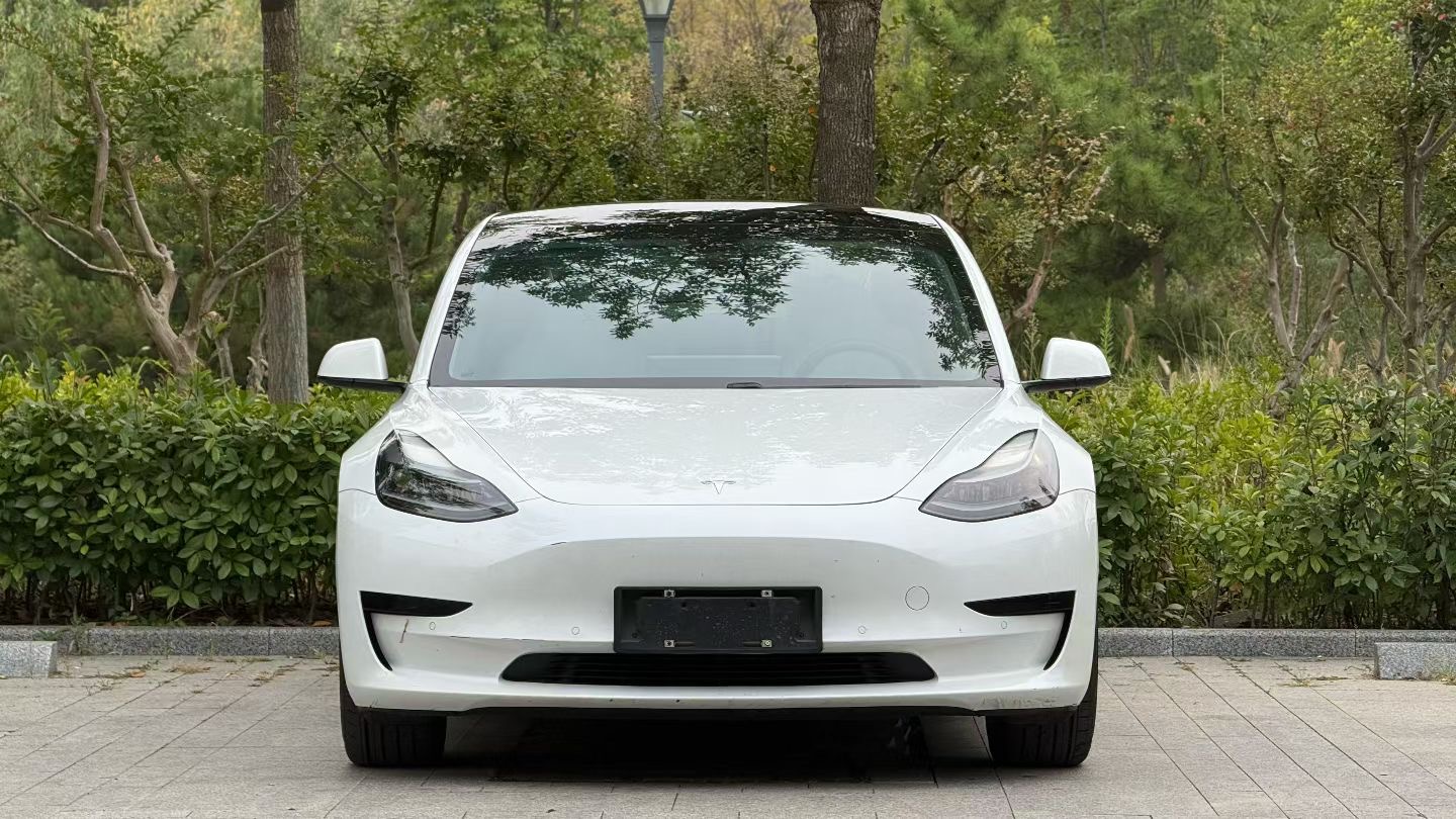Tesla Model 3 2021 #2 Tesla Model 3 2021 car image #2
