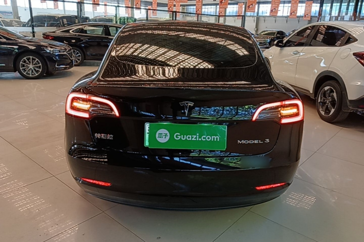 Tesla Model 3 2022 car image #6
