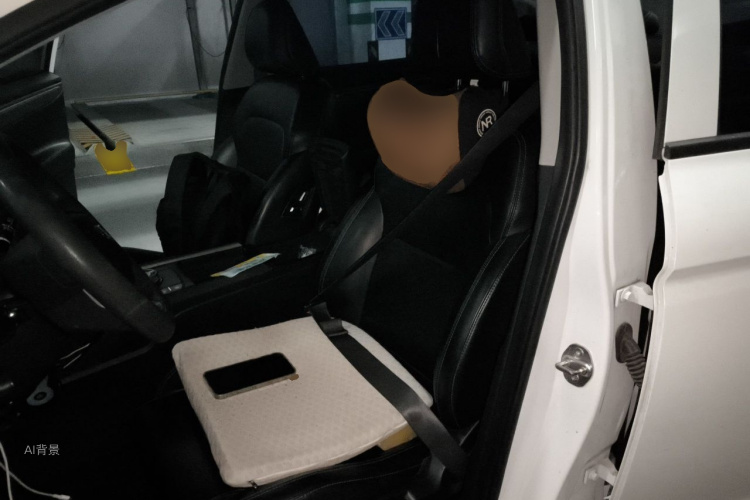 GEELY Emgrand New Energy 2022 car image #17