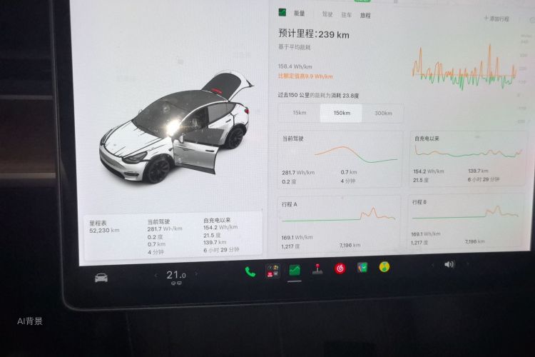 Tesla Model Y 2021 car image #13
