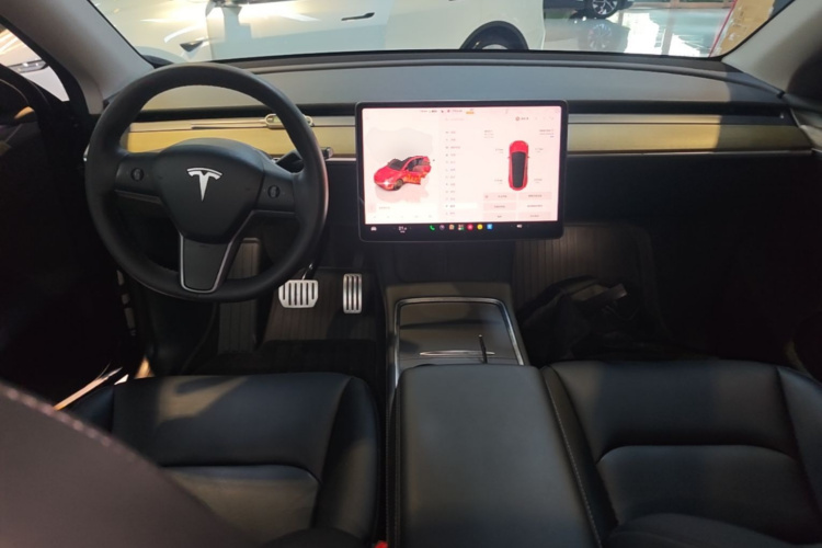 Tesla Model Y 2022 car image #10
