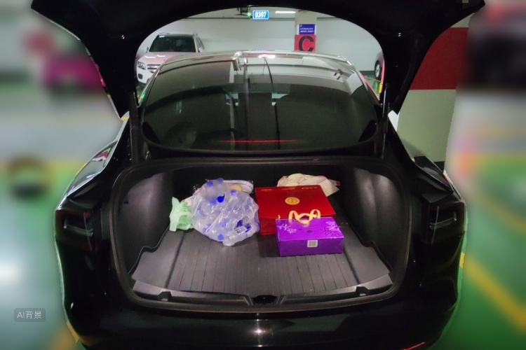 Tesla Model 3 2022 #21 Tesla Model 3 2022 immagine di auto #21