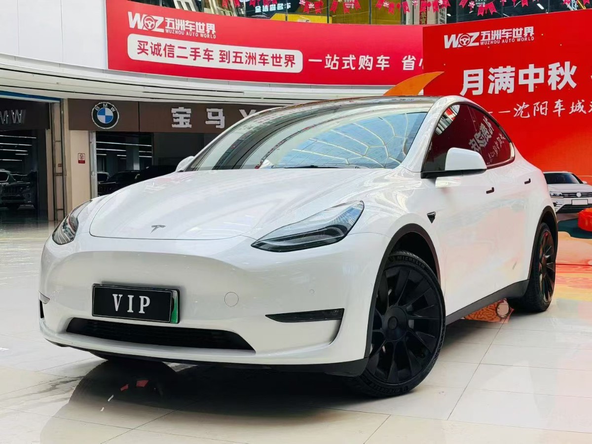 Tesla Model Y 2022 Tesla Model Y 2022 car image