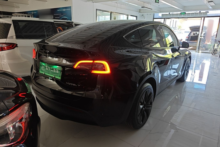 Tesla Model Y 2021 #7 Tesla Model Y 2021 car image #7