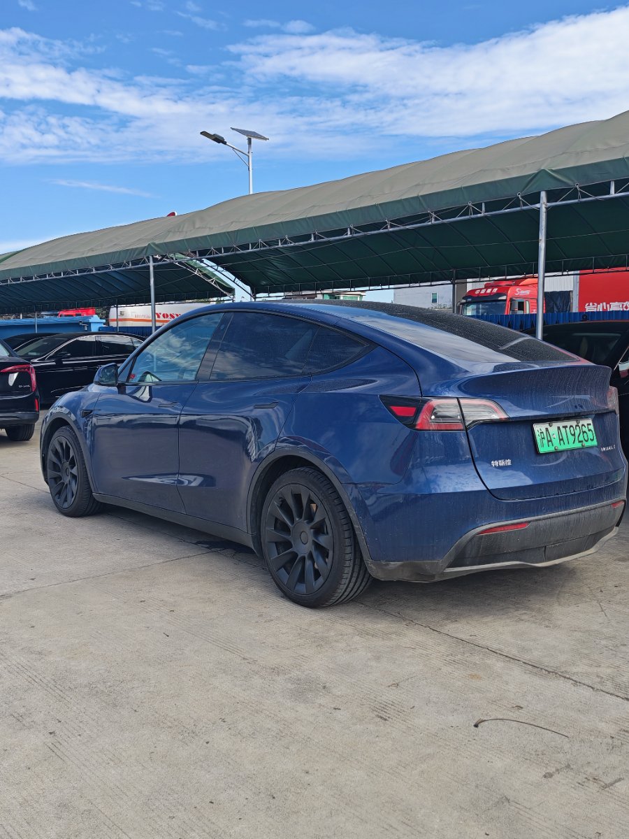 Tesla Model Y 2023 #4 Tesla Model Y 2023 car image #4