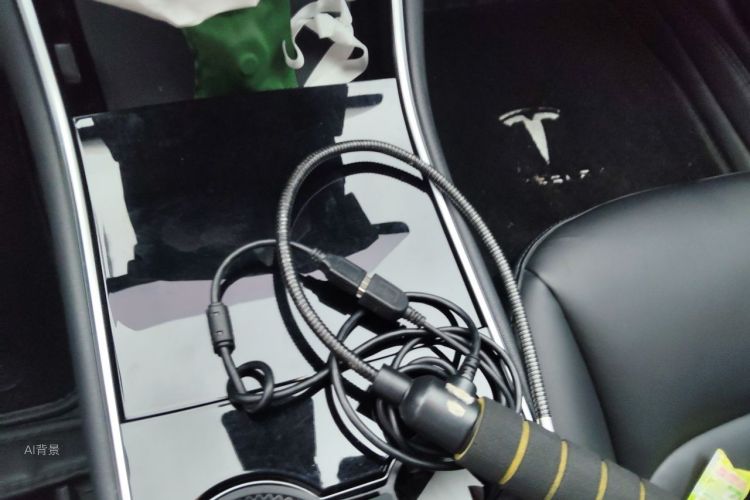 Tesla Model 3 2020 car image #16