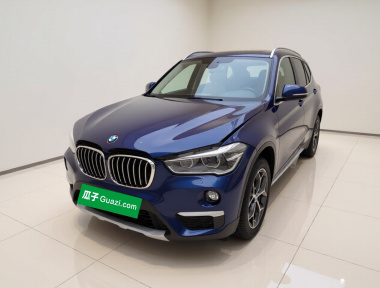 BMW X1 2019 car image 