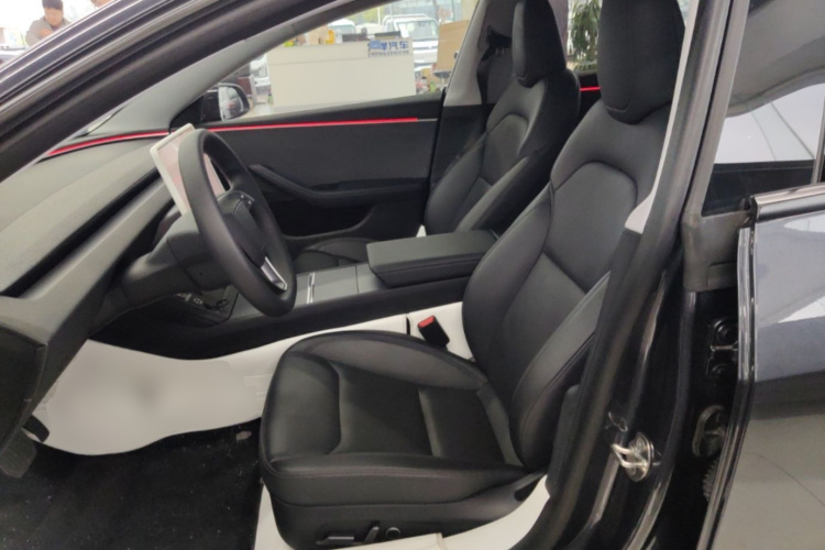 Tesla Model 3 2024 car image #15