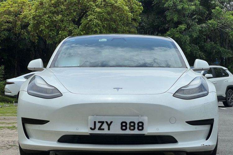 Tesla Model 3 2020 #3 Tesla Model 3 2020 car image #3