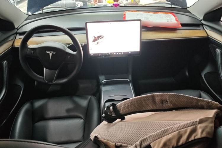 Tesla Model 3 2021 immagine di auto #10