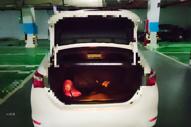 2016 #21 2016 car image #21