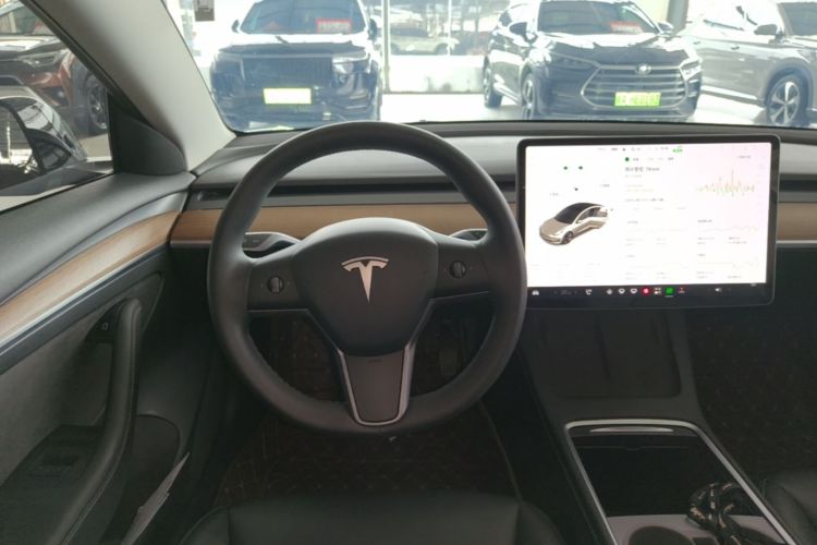 Tesla Model 3 2021 car image #11