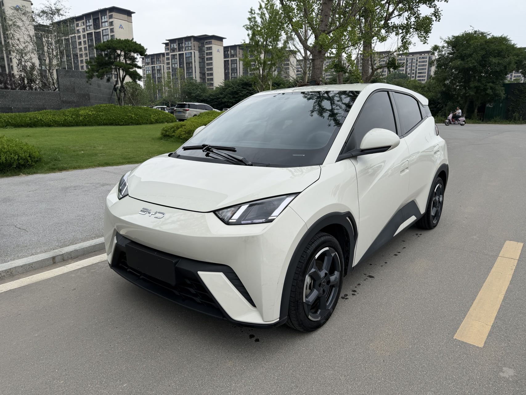 BYD Seagull 2024 car image 