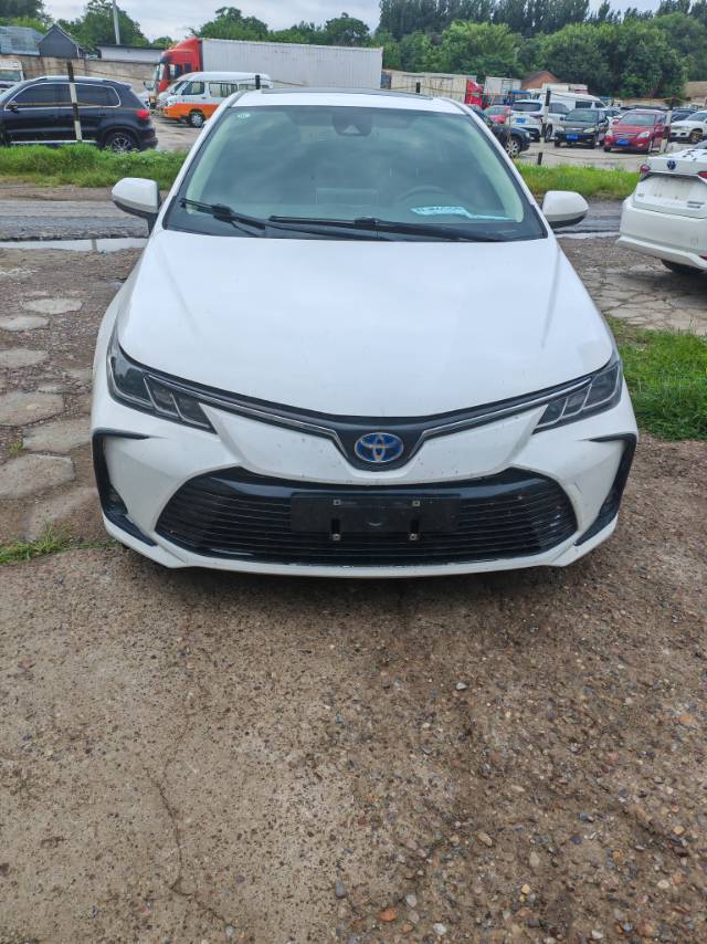 Toyota Corolla 2023 car image 