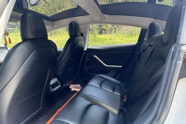 Tesla Model 3 2021 #12 Tesla Model 3 2021 car image #12